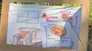 The Nervous System Is